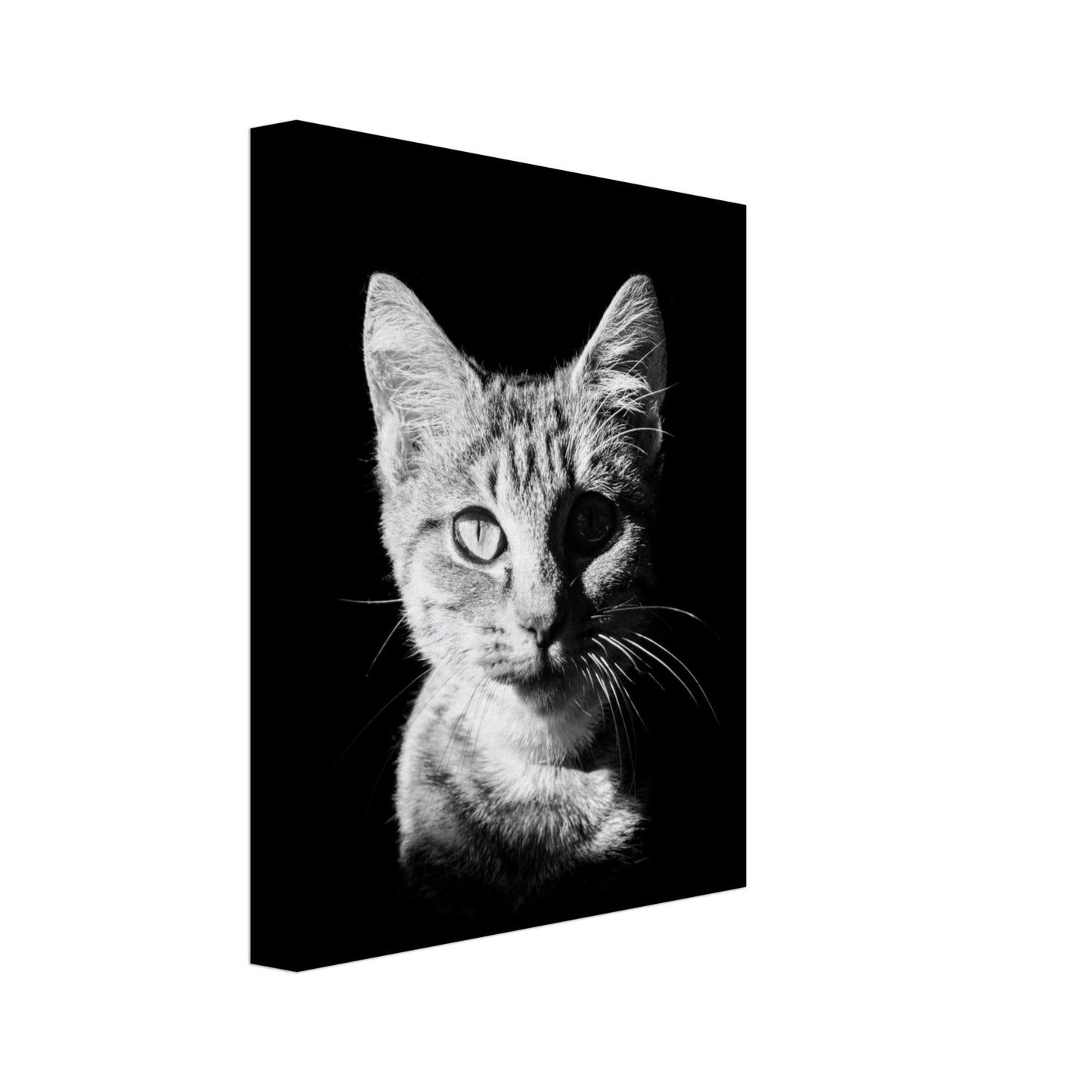 60957d2a-3257-4dd8-9db4-383b52917259