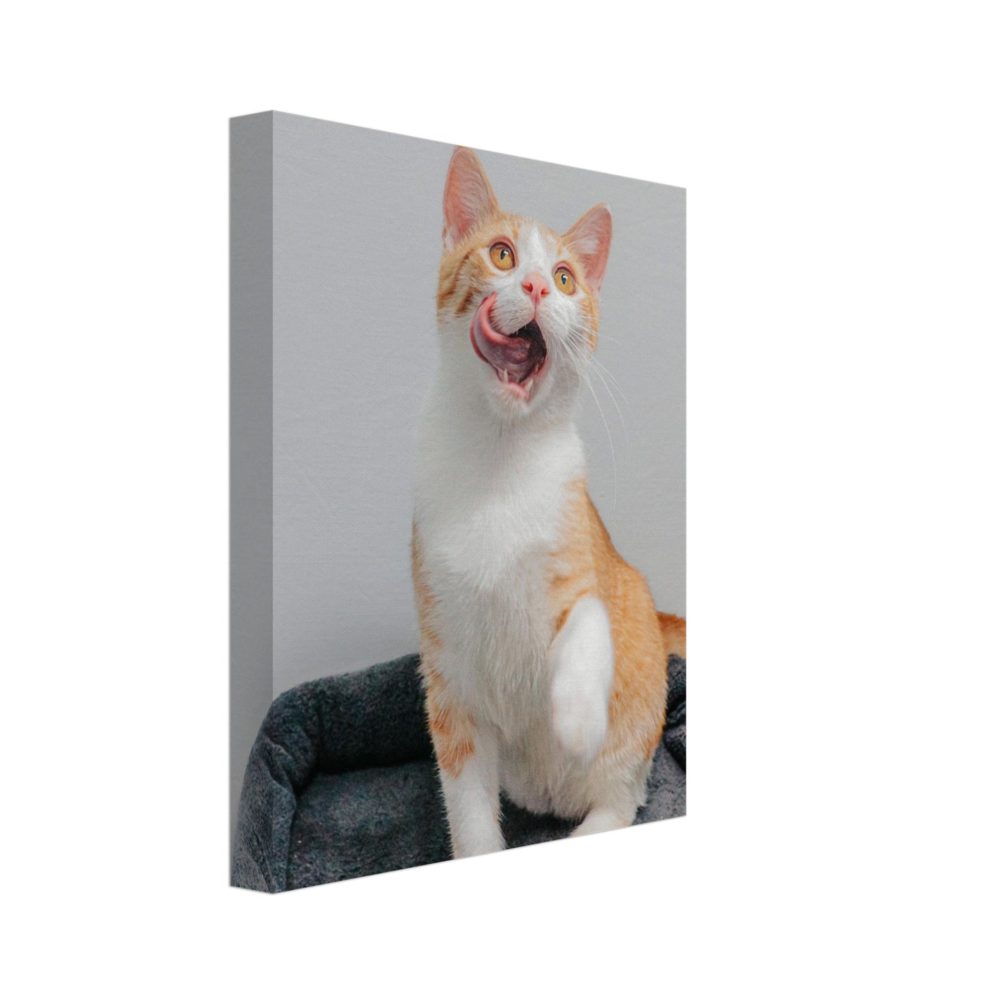 ce2b0266-39ef-4b2f-b31f-05c53293503d