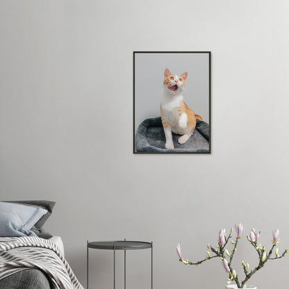 00e71ce5-2a04-4f53-80b6-7812f5678861