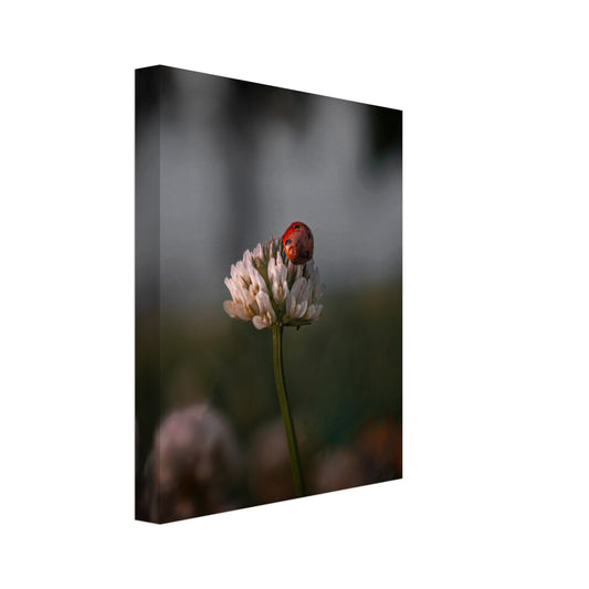 02964ba1-732d-47c1-a56d-8d68f6d9fb5d