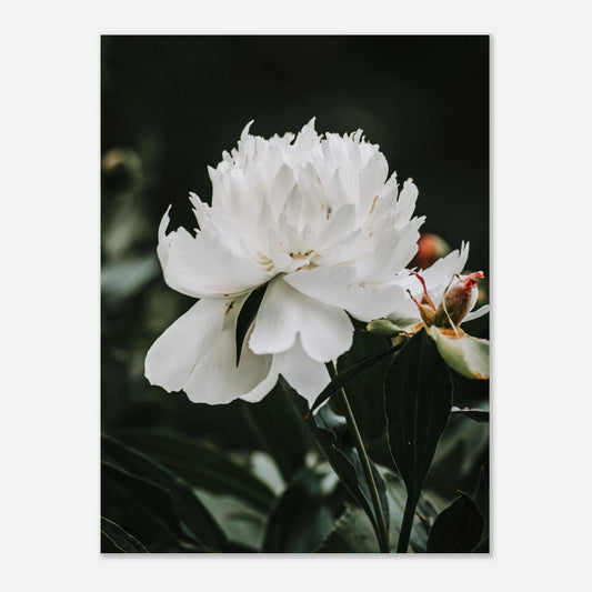 0977bf2a-7a27-4cd6-b0f2-194ead5a5bb2