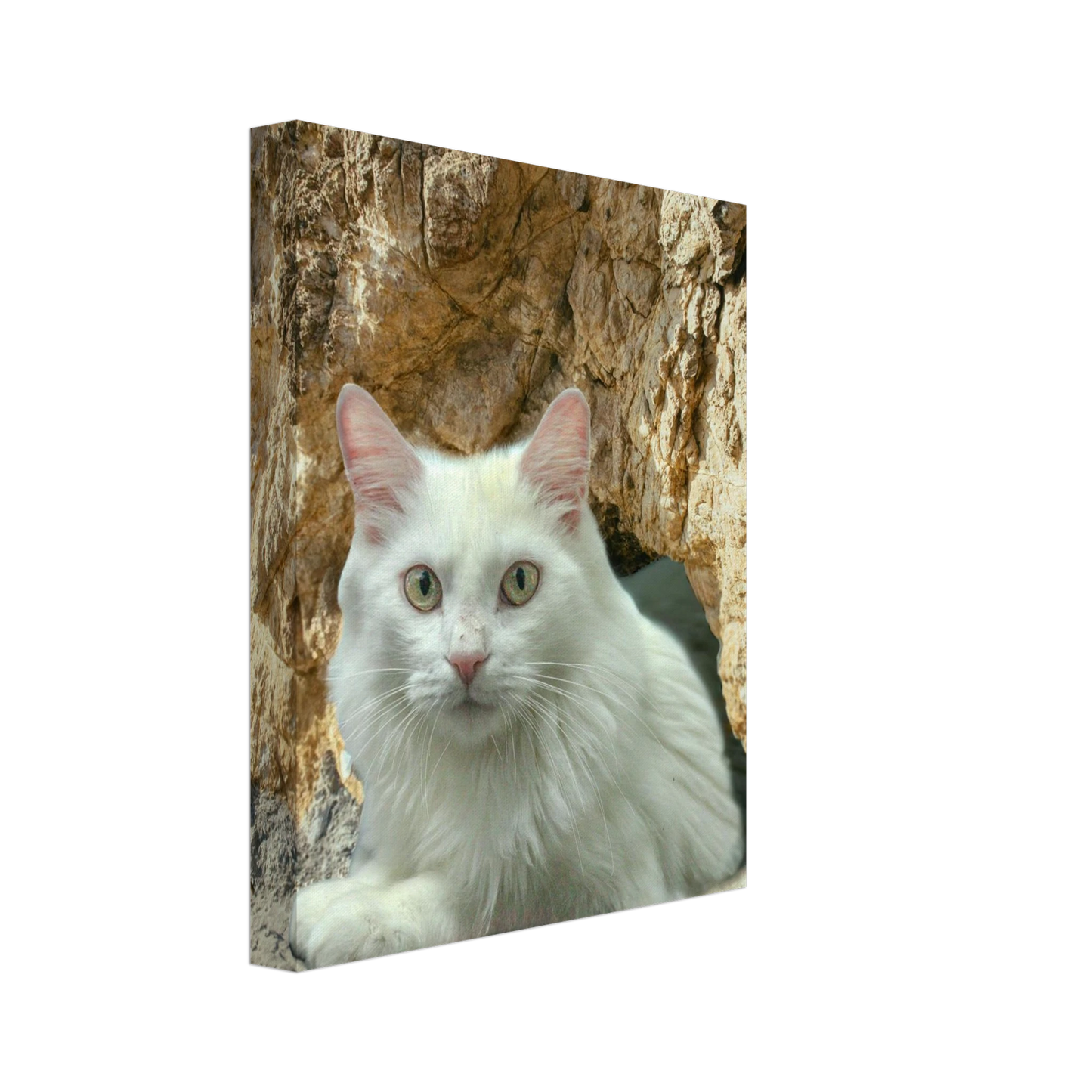 09b81980-76ae-47c6-bea7-8ebf1de0a469