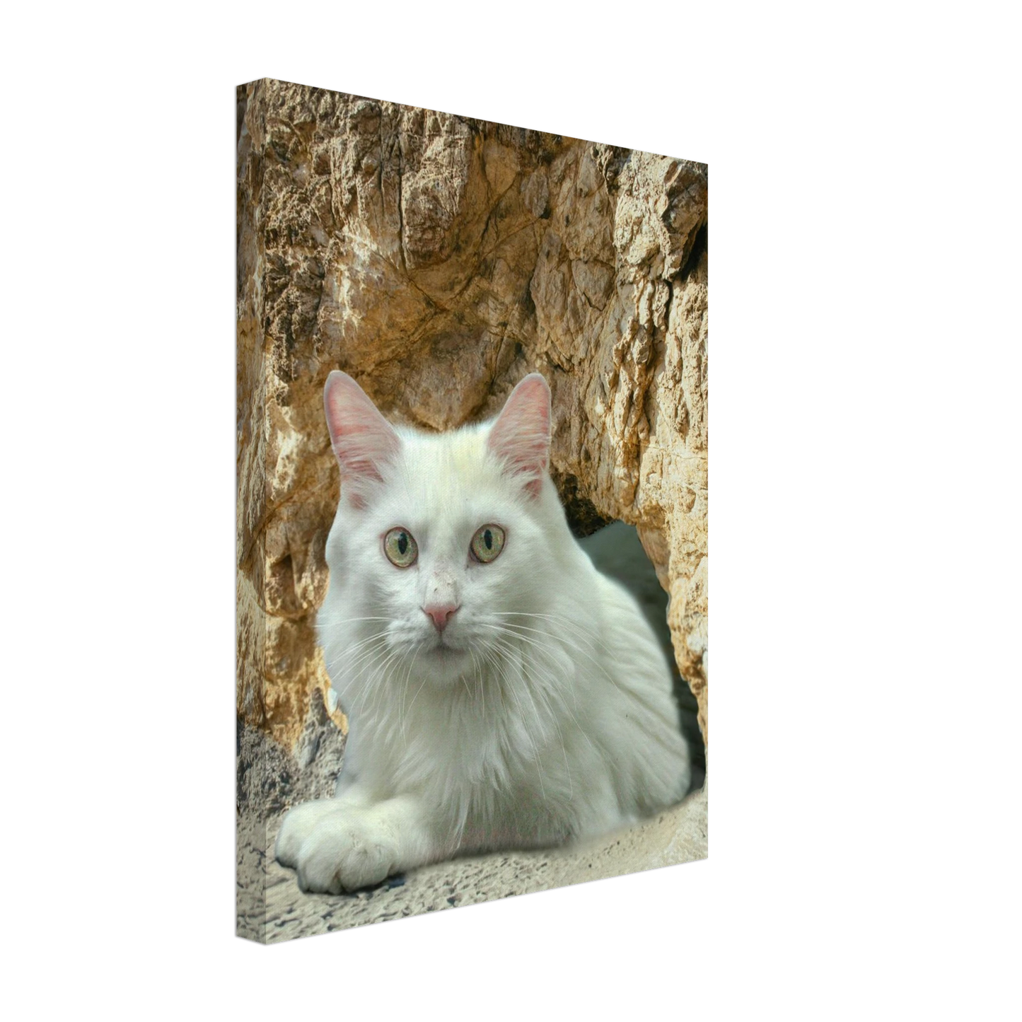 0d580300-bde3-41d0-978f-510ee80c12fa