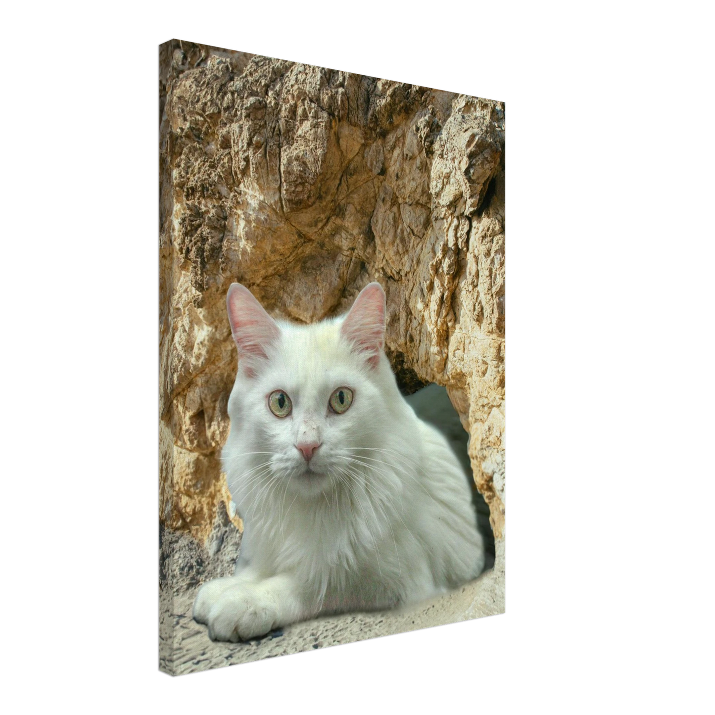 0dd92ed9-0652-420f-bf62-c8cbb166e2db