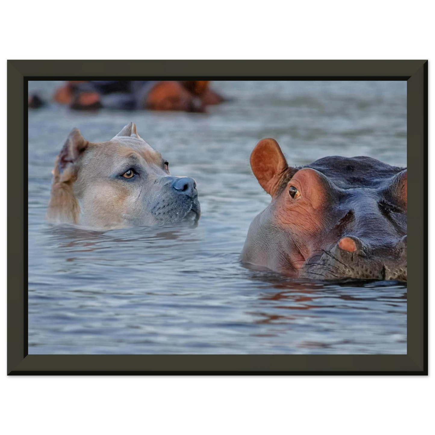 1392b6ba-4f1a-42b7-8fd1-d557a633fd23