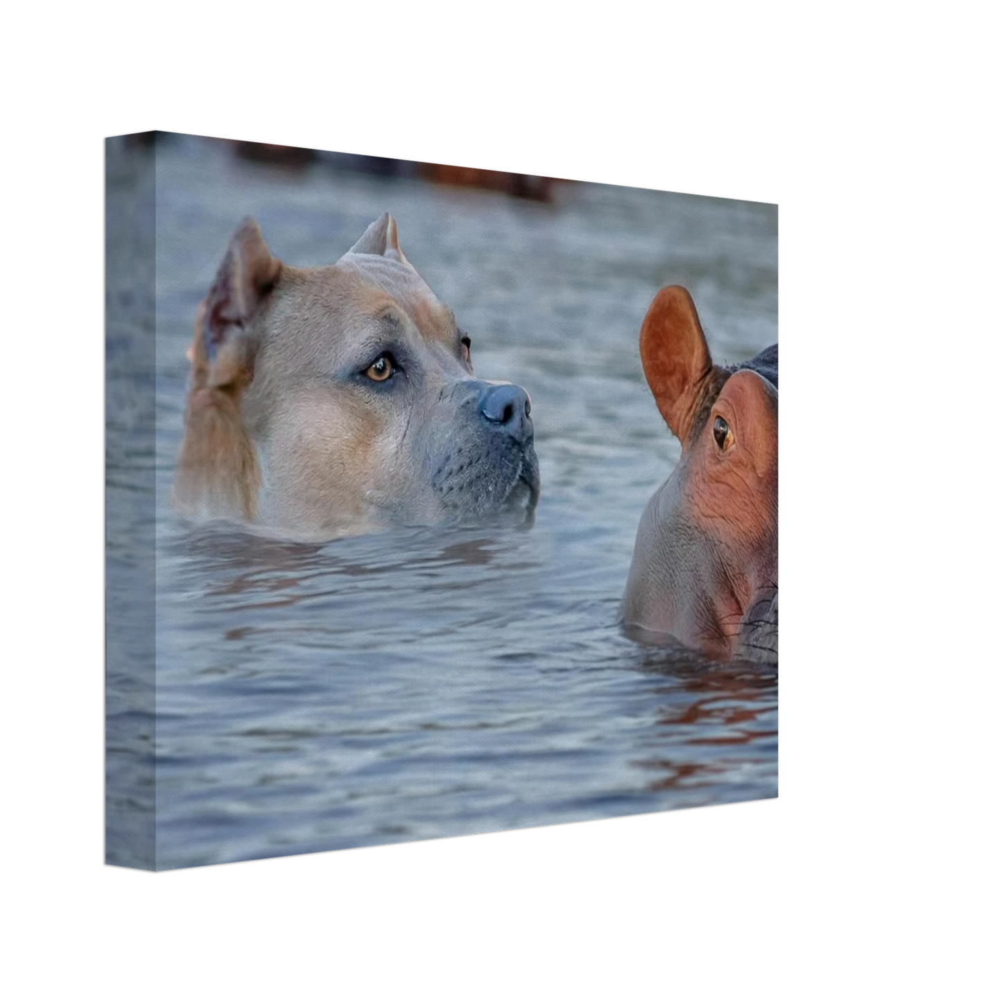 1449dfac-2c49-4071-adf7-1268990d63a5