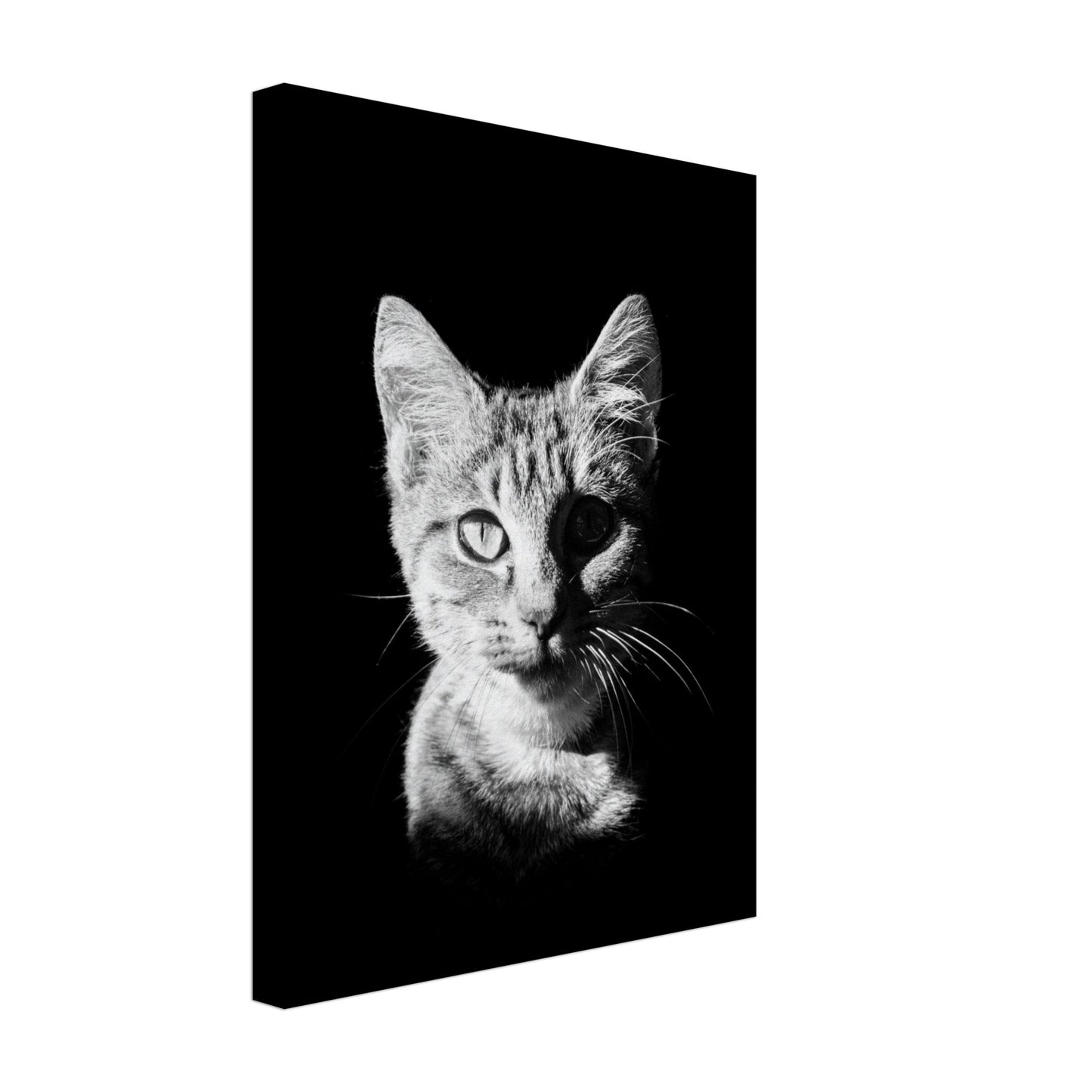 21d09fa4-48c5-468d-9079-3895c8b0628f