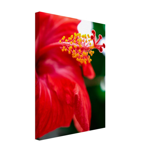 234671cf-4764-4e53-8802-6d81bf44a724