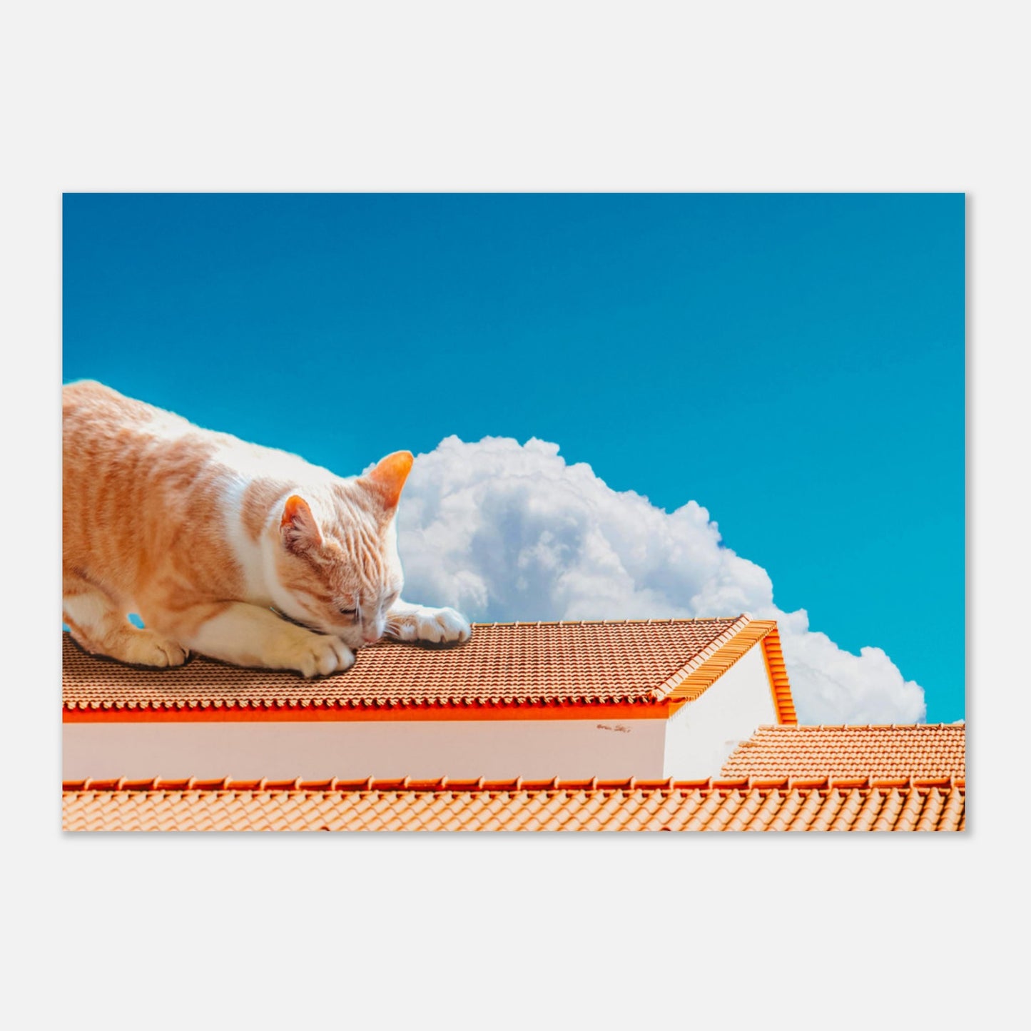 2d61dcc2-c4be-43dc-a35e-715fbe874719