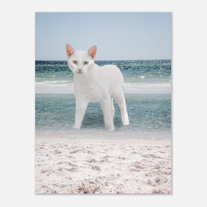 3dbd9655-5e8b-40a7-8c7e-b7007887493f