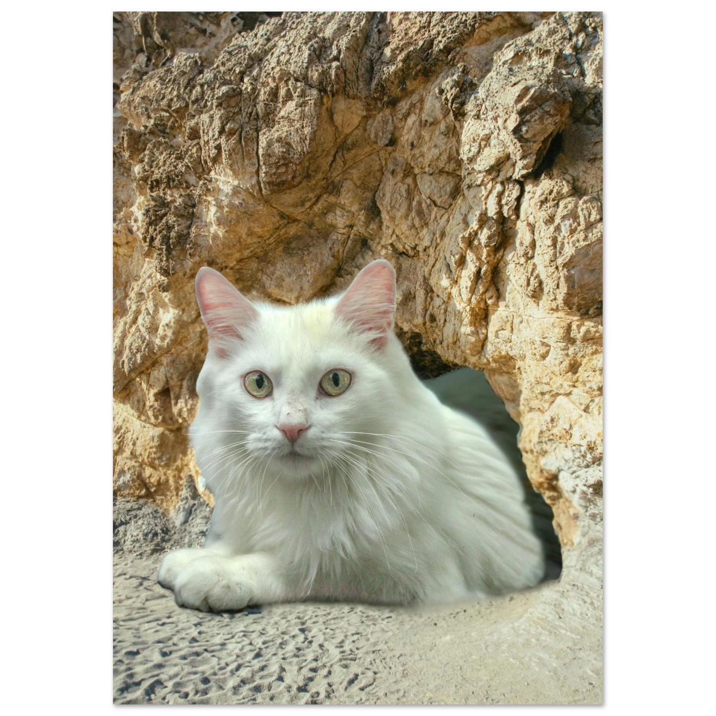 517cb820-8f43-4077-b8ea-57430abbbbdf