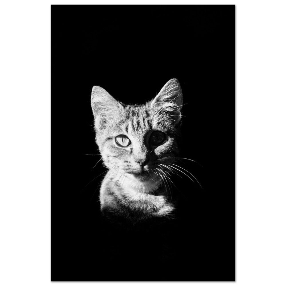 53e6ba48-e1b2-4e1b-b8cb-31031dc27485