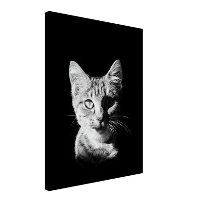 56178700-e309-4315-9495-3590be14a938