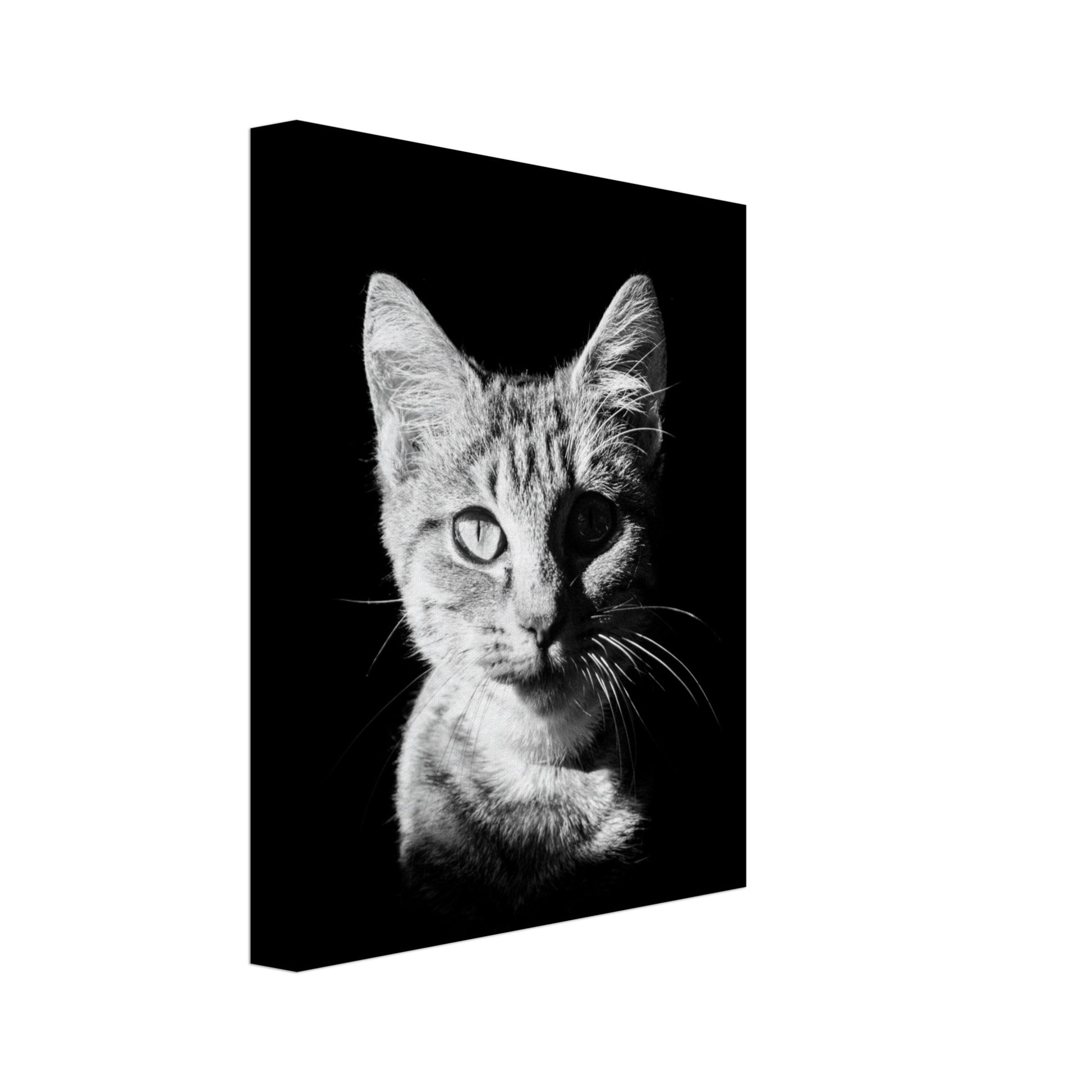 60957d2a-3257-4dd8-9db4-383b52917259