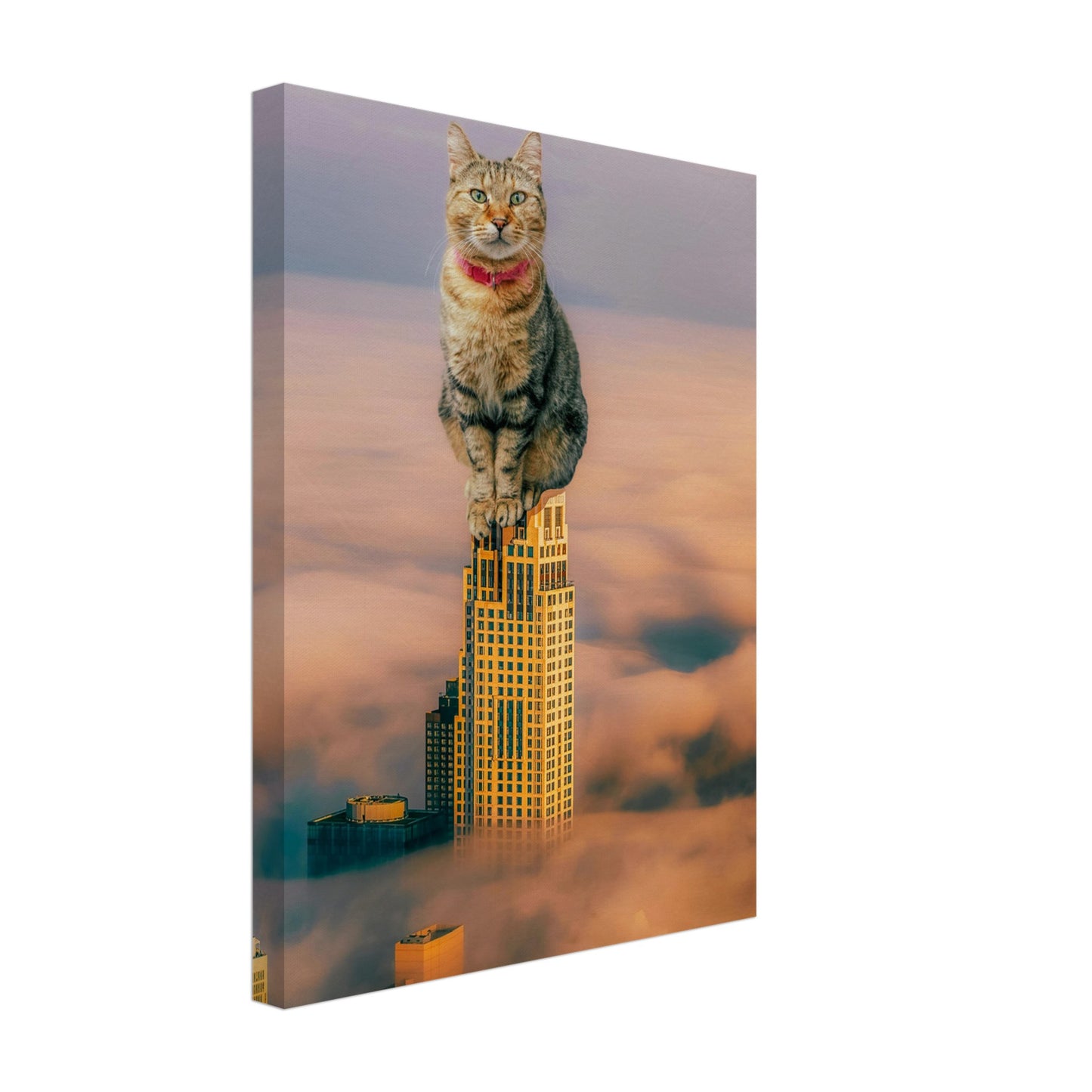 6b679bec-5fb4-4b0c-b39e-0a3a921b1f4a