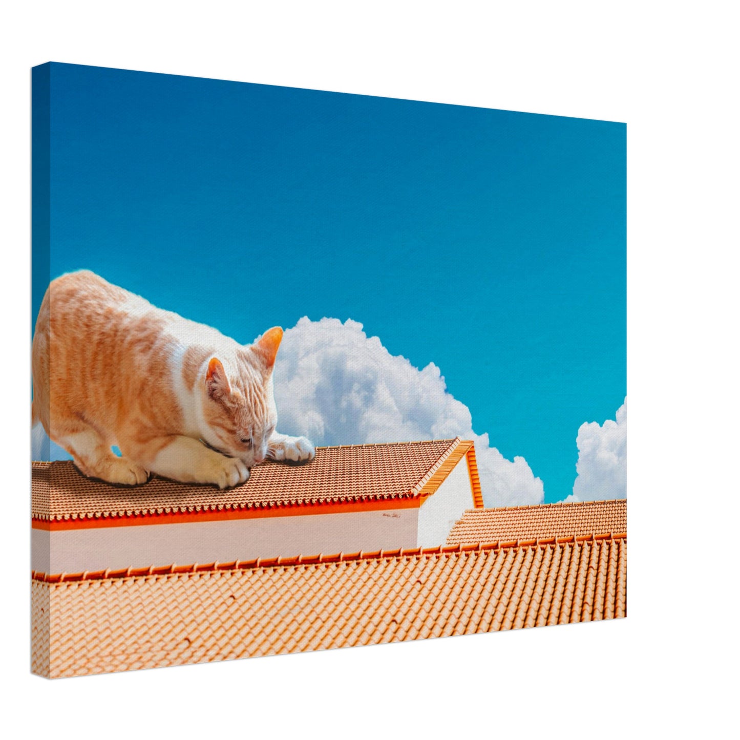 6c899f96-0585-4d57-8154-288bd34b7ea4