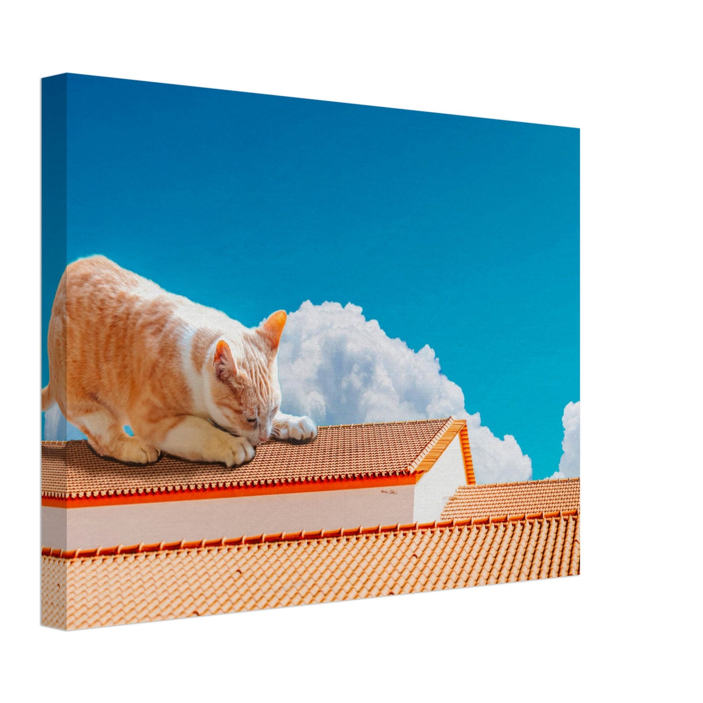 6d49526b-e5d4-49db-8456-04935faf11ae