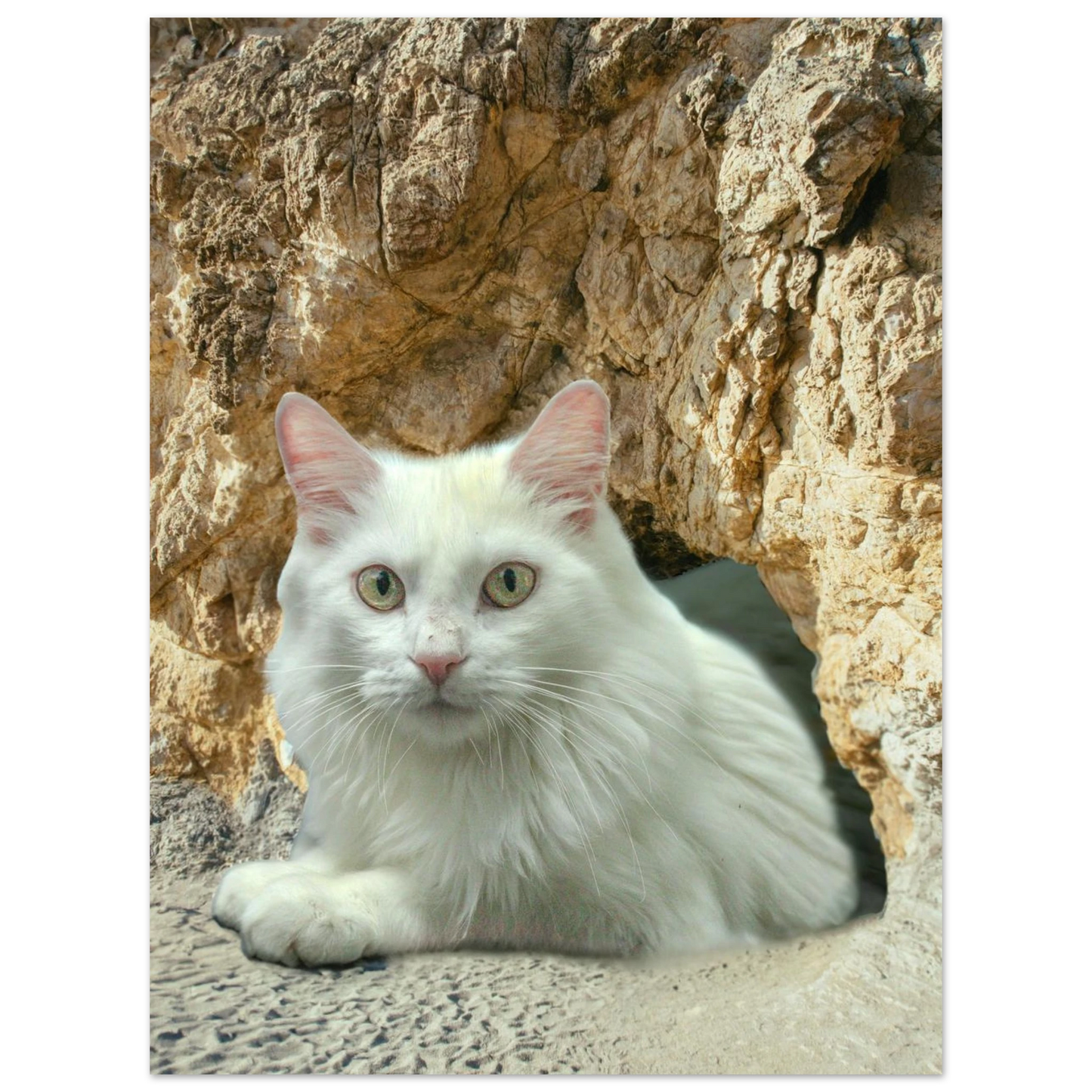 73ae56aa-7df9-4d7c-a6df-b0e24d8ed13e