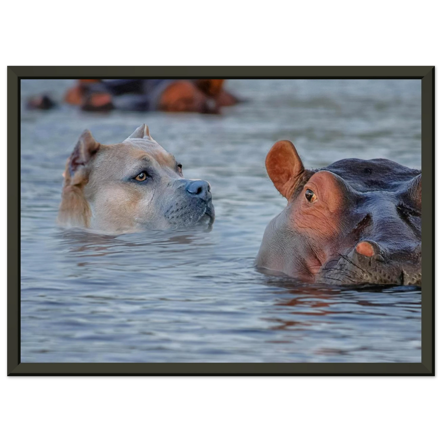 73af3655-d747-4406-81db-563bf7a343e7