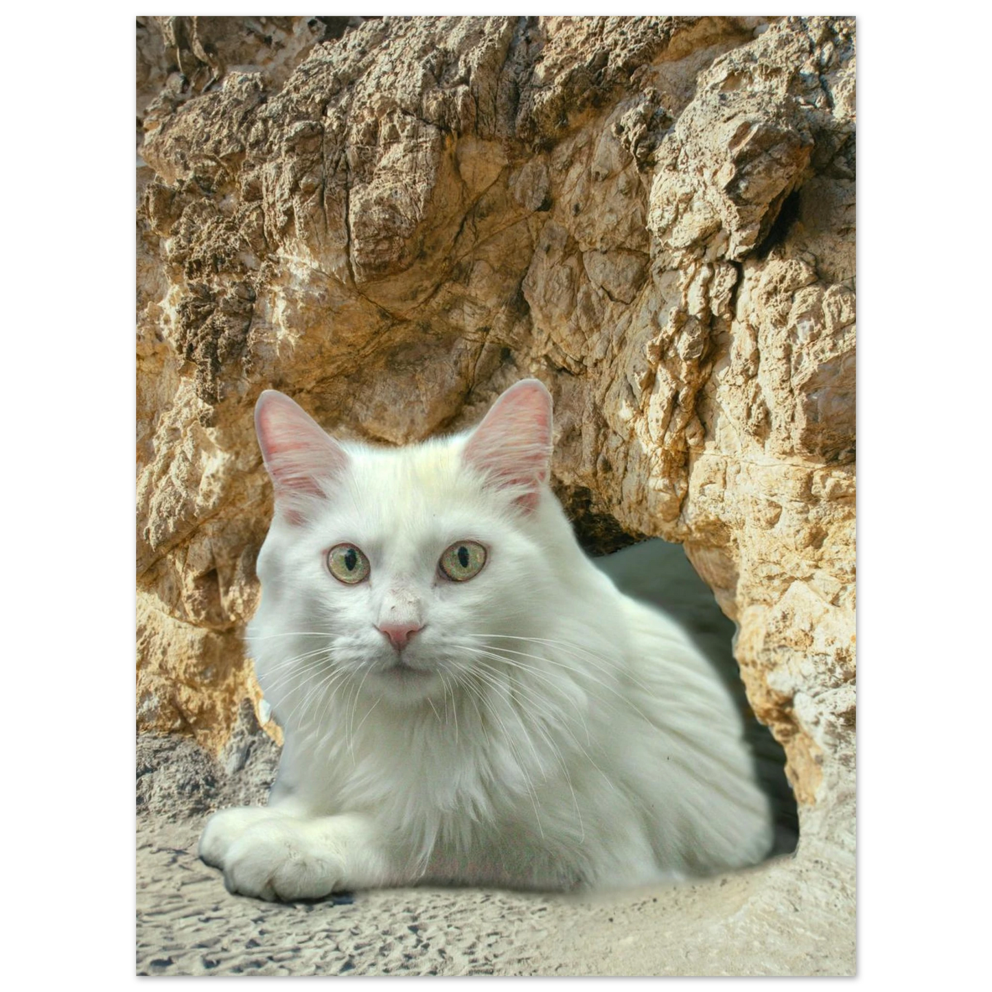 79a3b988-7a79-4bec-bb34-774c53bddab1