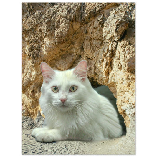 79a3b988-7a79-4bec-bb34-774c53bddab1