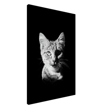 7c1bbe70-3283-4b10-803d-3586ecd14c07