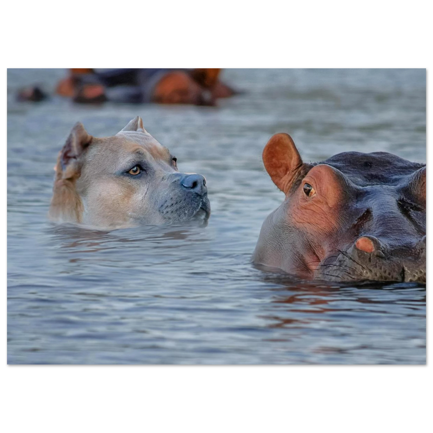 7fa79f9e-a498-4e01-9c68-b19eab167eb5