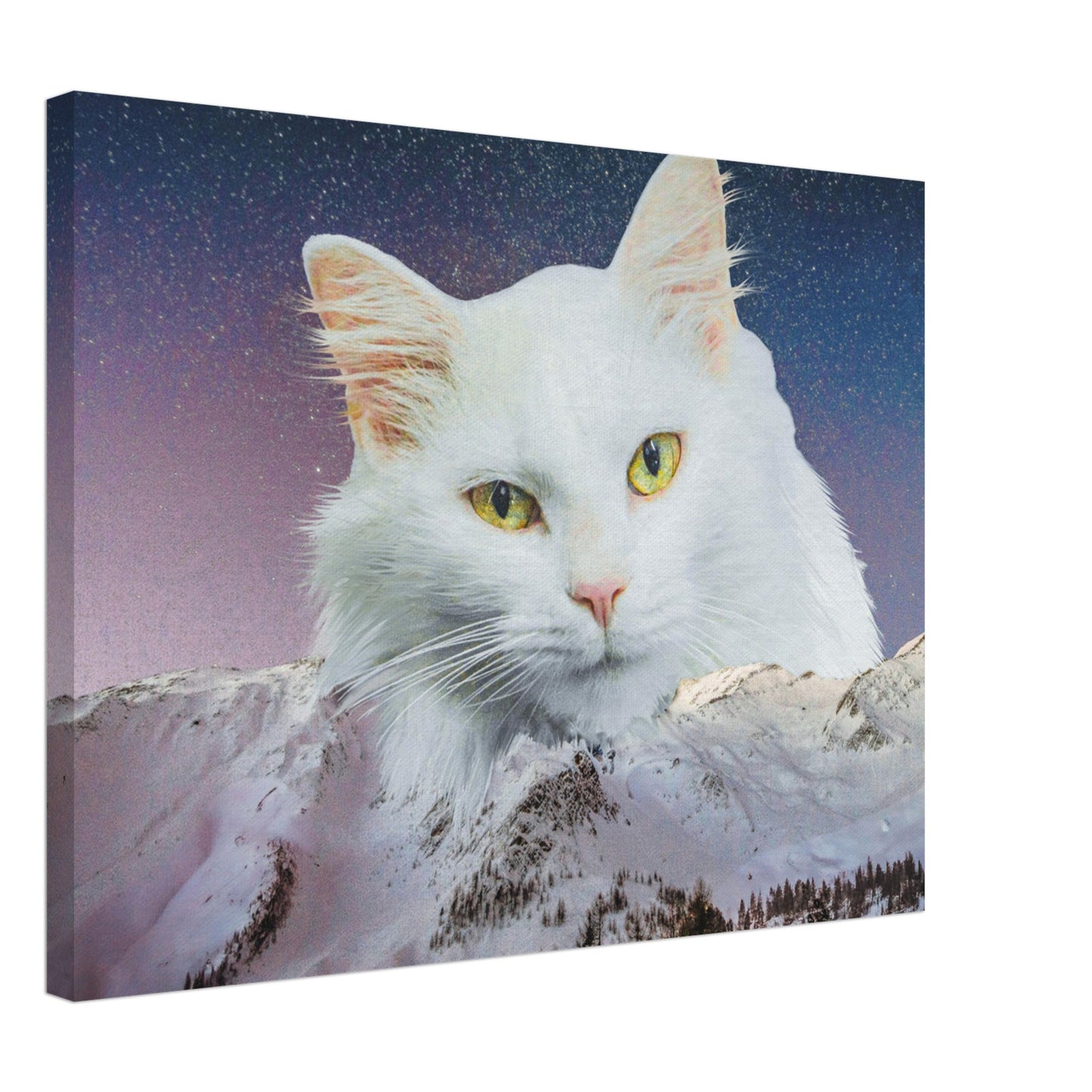 7ffff6d9-4198-4855-8756-9d4409ef3325