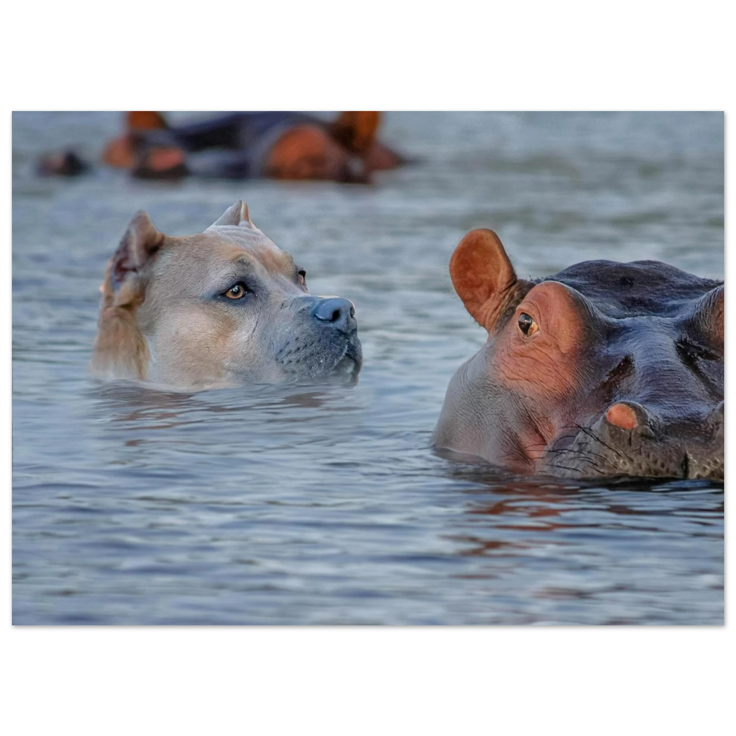 8b046892-6da0-420f-a88e-7cfbfa341cd3