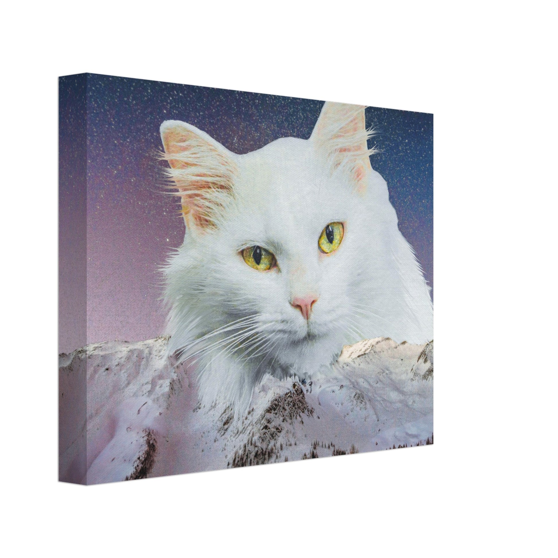 8b47423b-4d59-4055-8d9f-c79a91ea9373