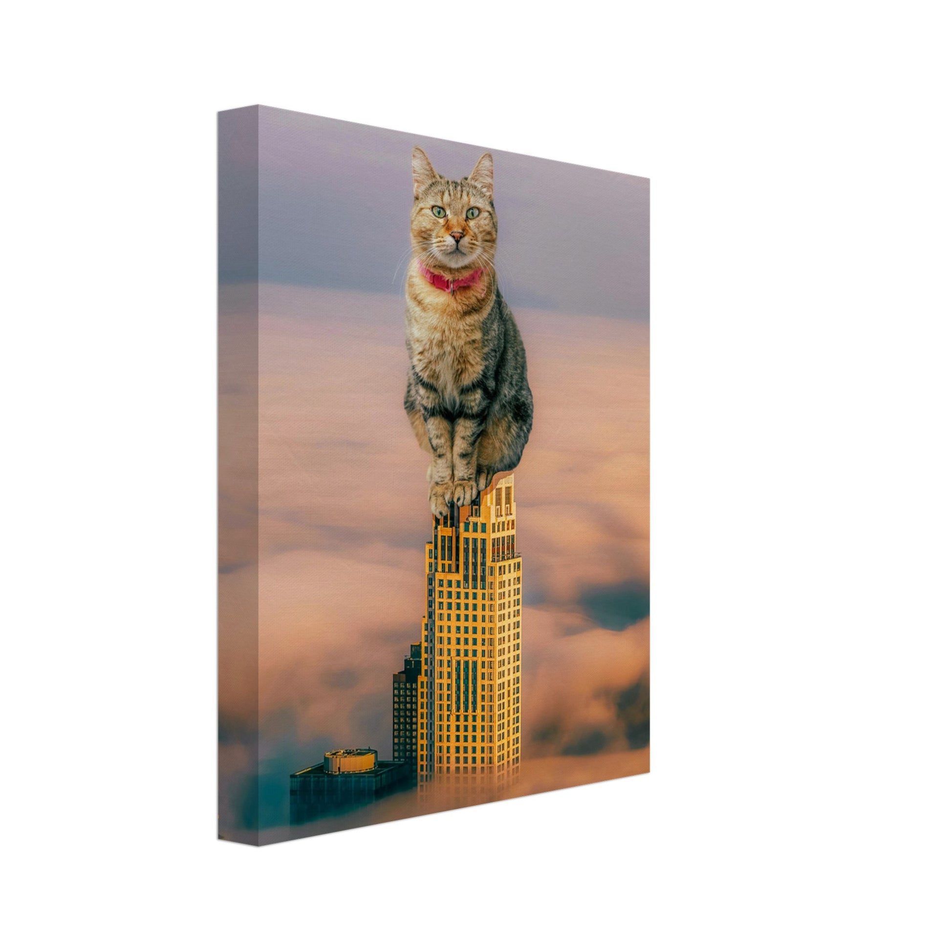 8fbd31bf-a62c-4631-a151-41997e54b32e