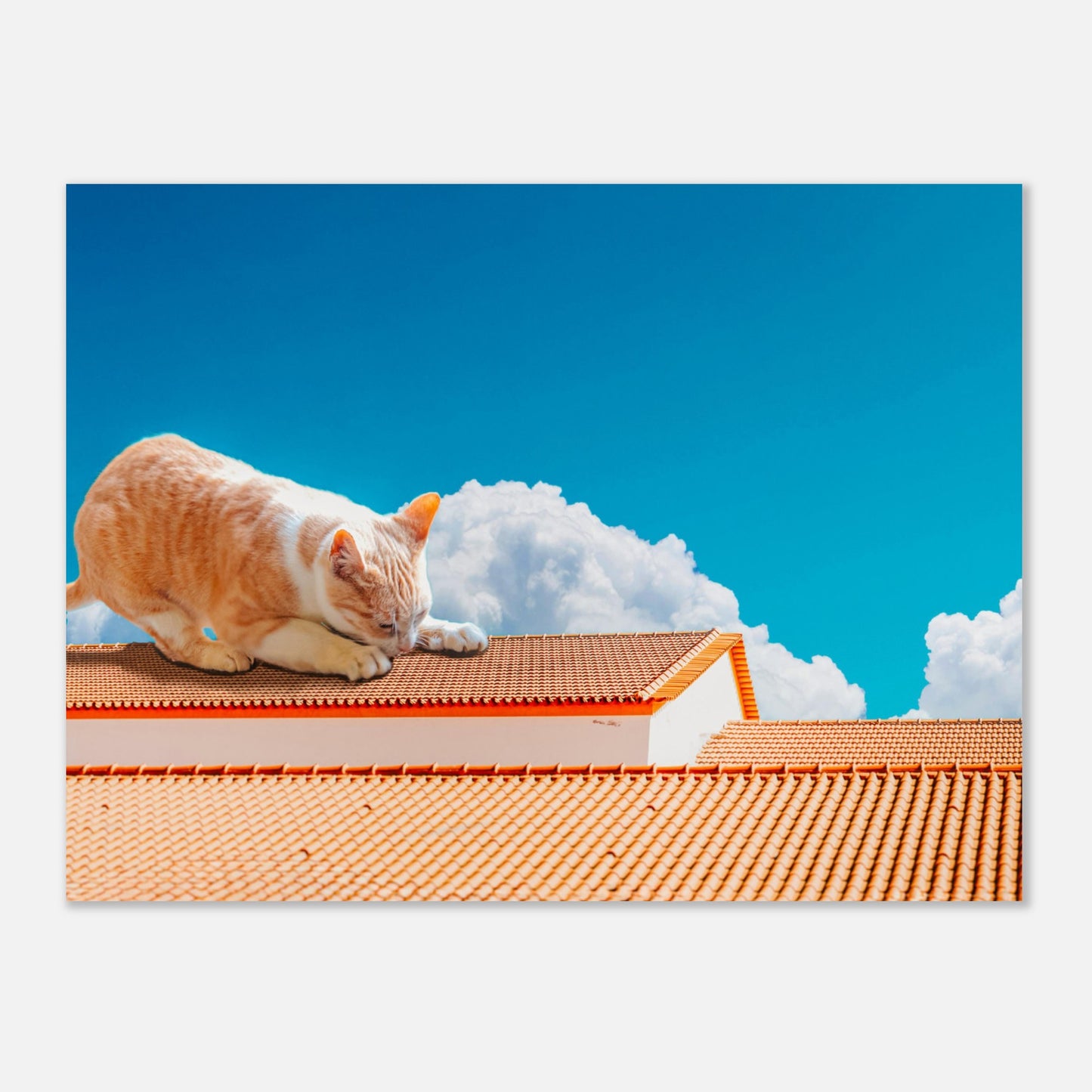 942182a0-1e6c-4a9e-8496-8a6c63c69da0