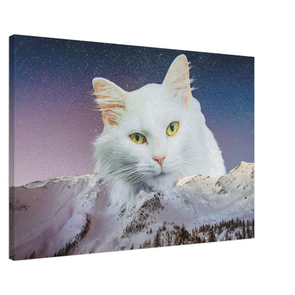 9e254c2c-1e88-44b8-9075-86e346108ffb