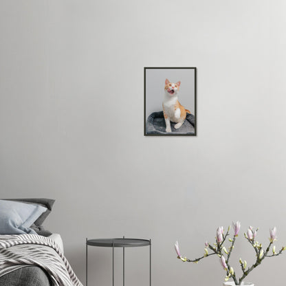 c3d8d221-49d6-40cf-909e-6cfb66a4b821