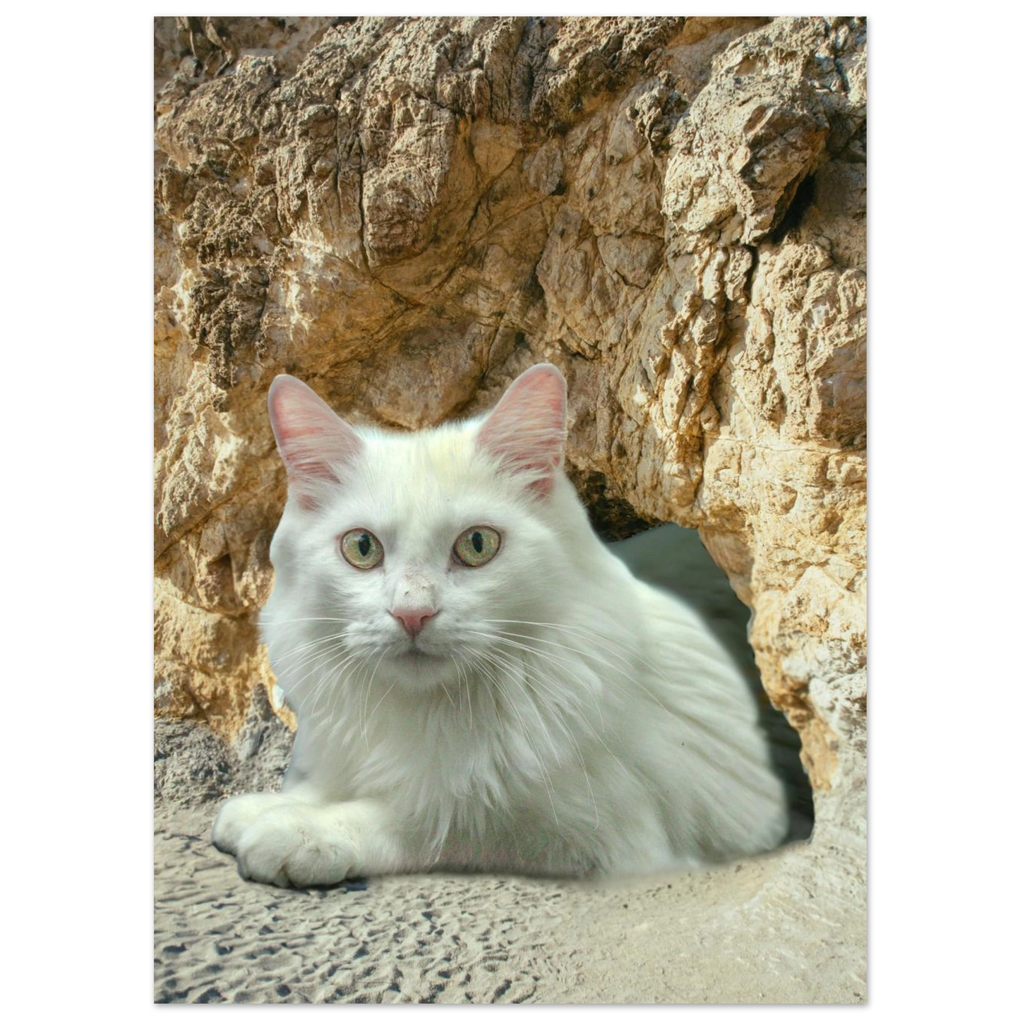 c4557464-0b39-45a1-9e1b-46c29cf20777