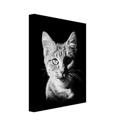 dd600561-36b4-4762-a477-bf1391f5e413