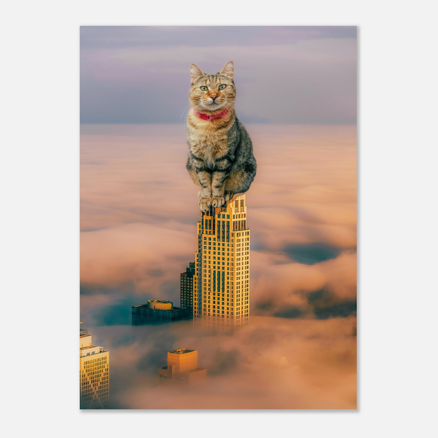 e852c8a9-e410-46df-a1bb-3f86ef77c18c