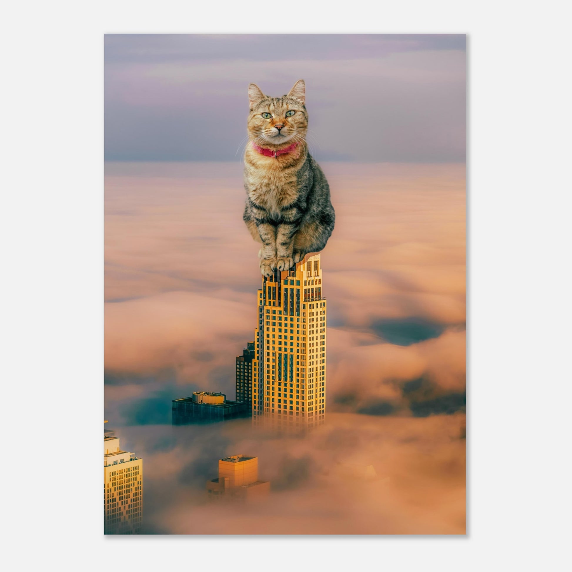 e852c8a9-e410-46df-a1bb-3f86ef77c18c