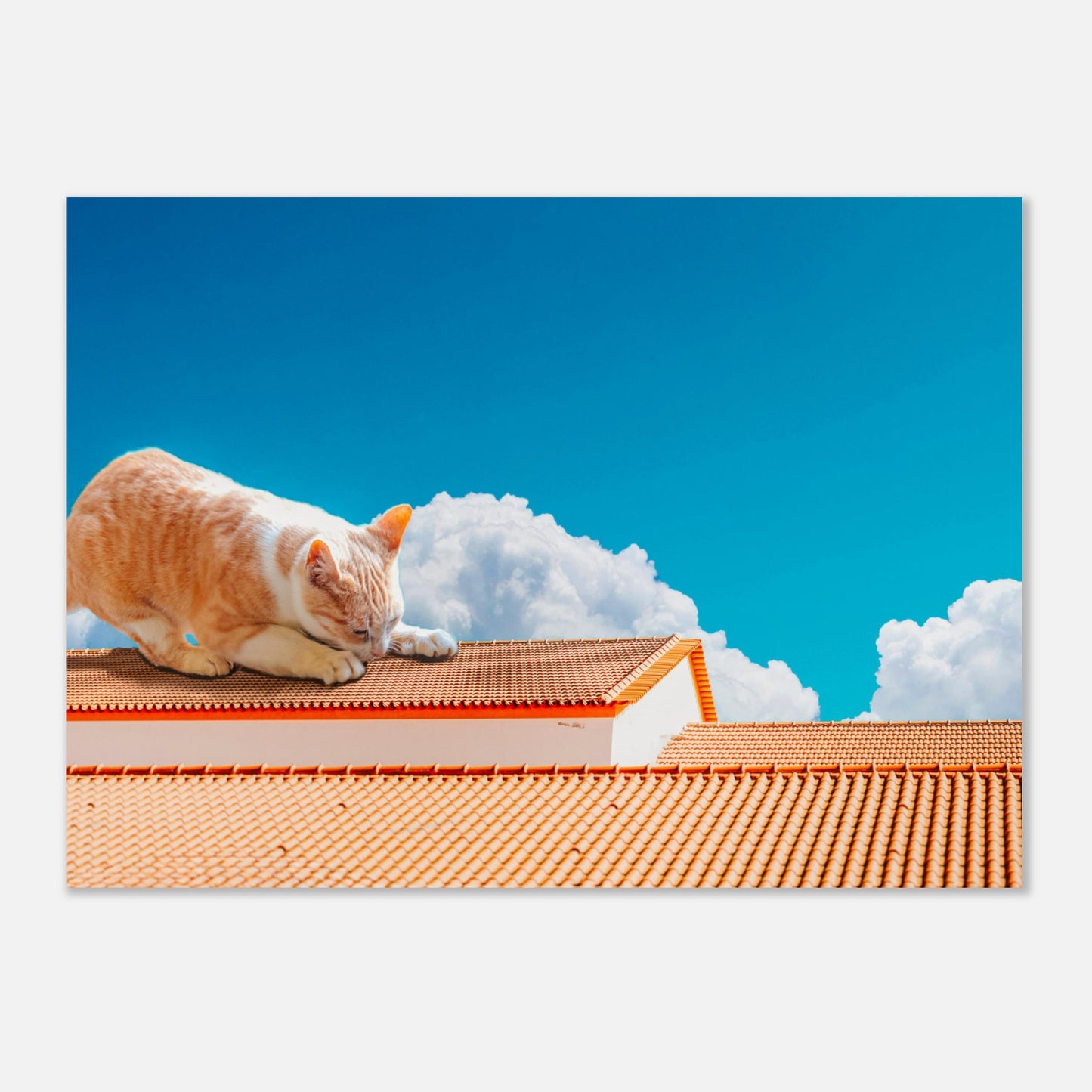 f507f143-1359-45e4-84a8-9f537fd112e0