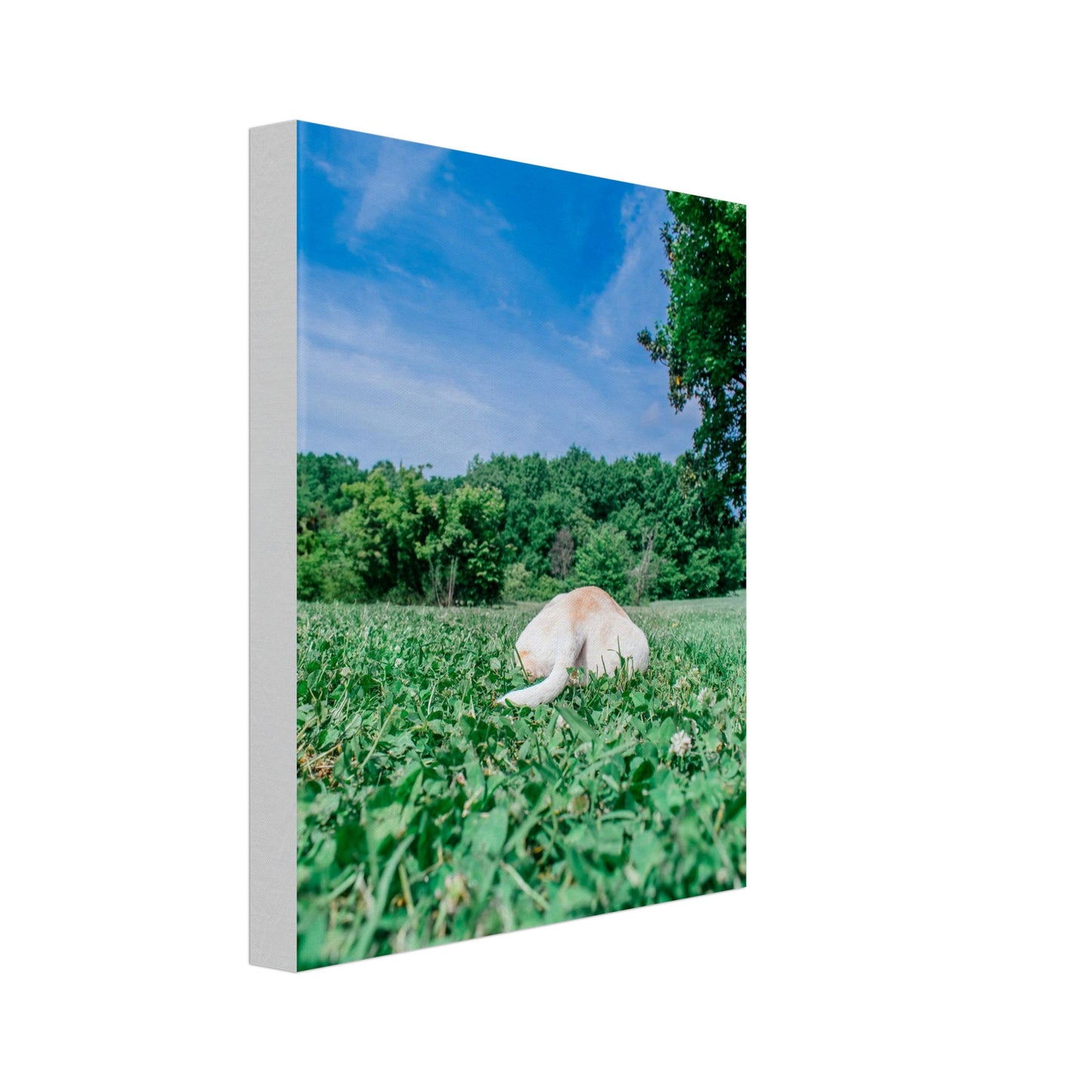 f6def553-ecc0-4875-8f62-51f74b5a9bf4