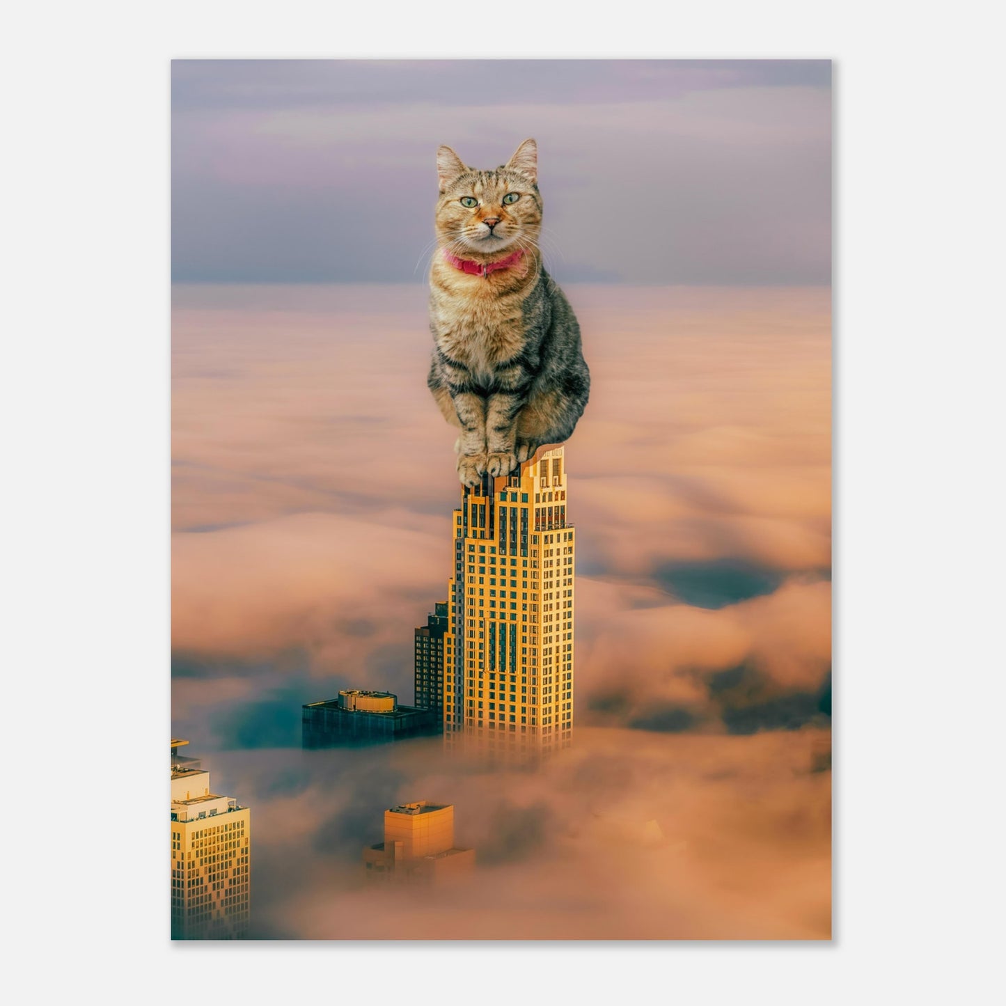 f71dca8f-6512-4539-8541-d8a1dc9dcd2d